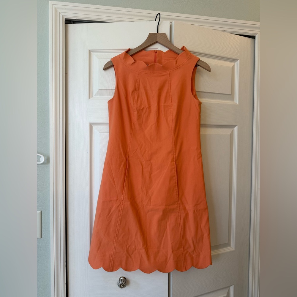 Sara Campbell Orange Signature Stretch Scallop Dress - Picture 2 of 6